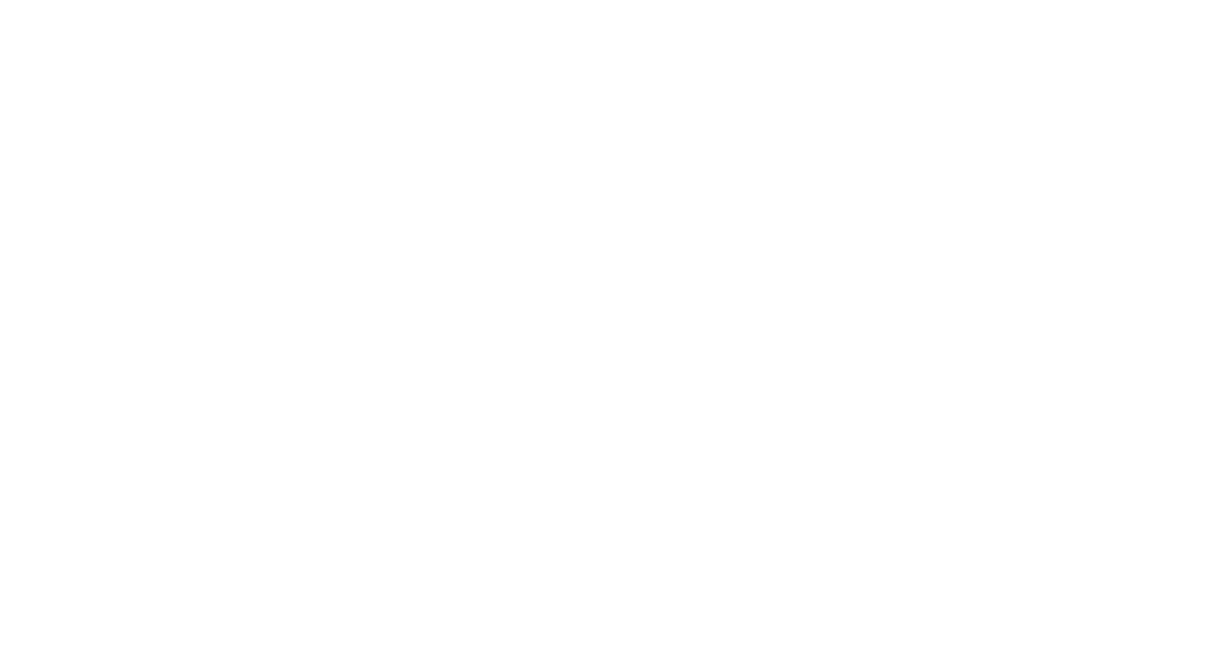 logo-ANSMM-white