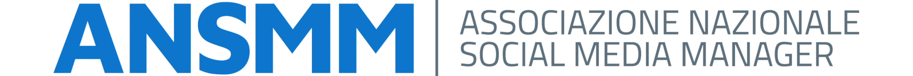 ANSMM-logo-footer